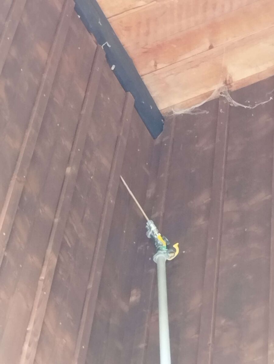  Bienennest entfernen.jpeg