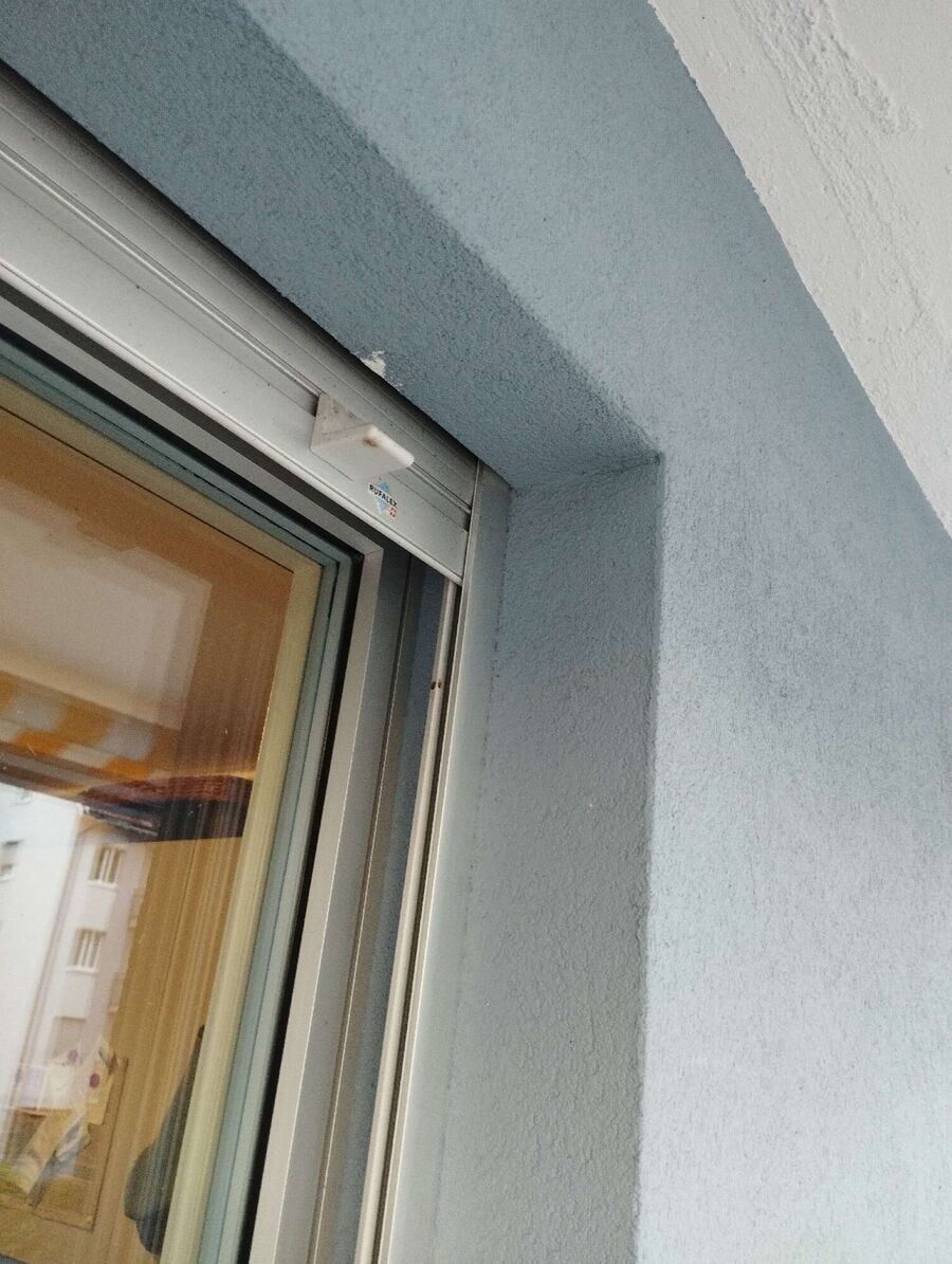  Bienennest entfernen