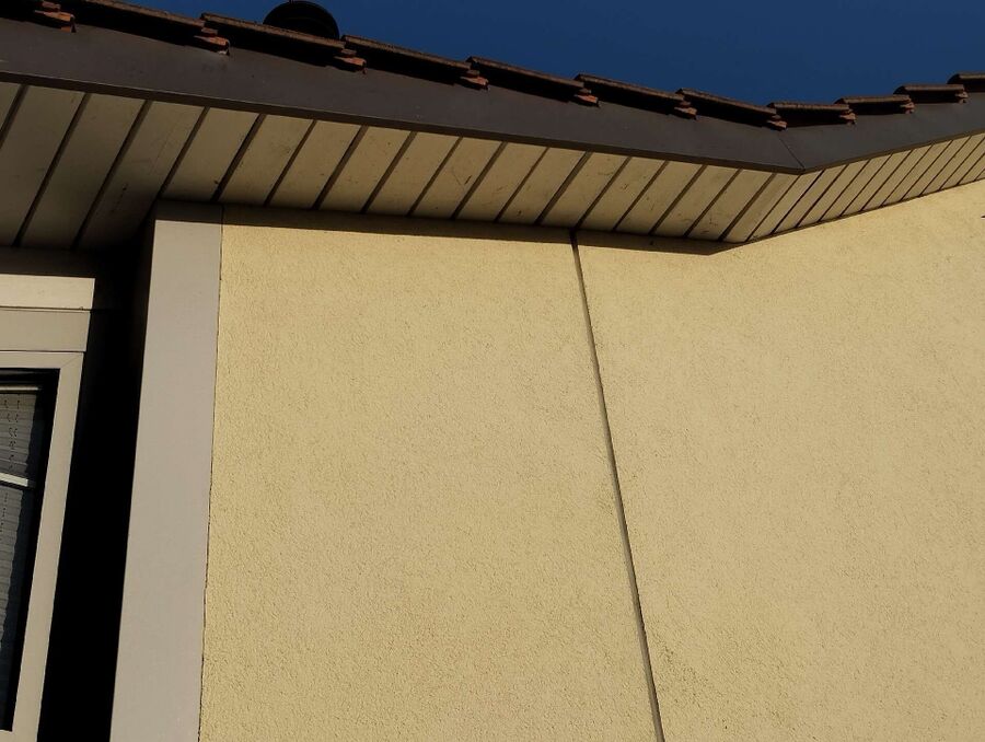  Bienennest entfernen.jpeg