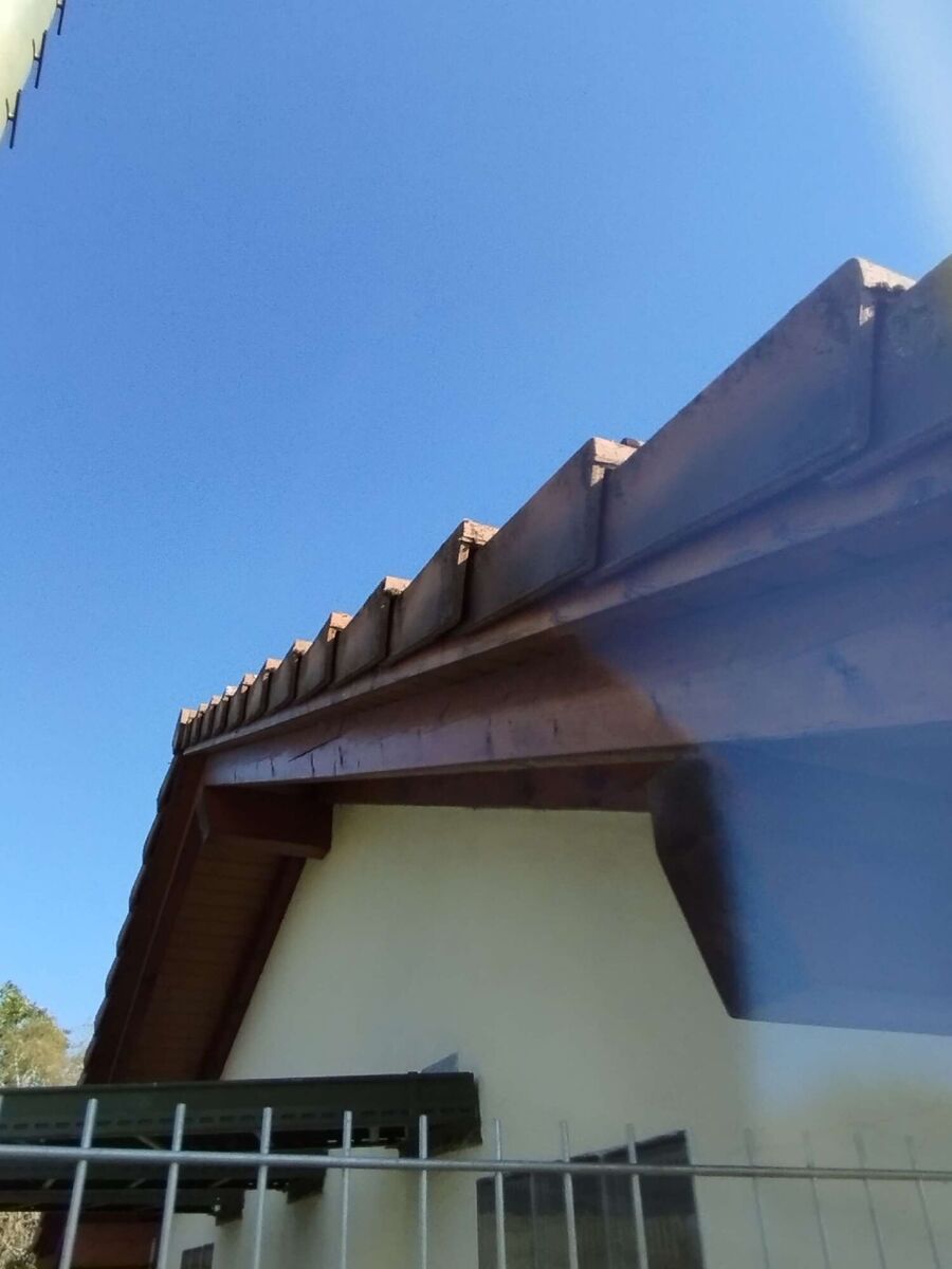  Bienennest entfernen