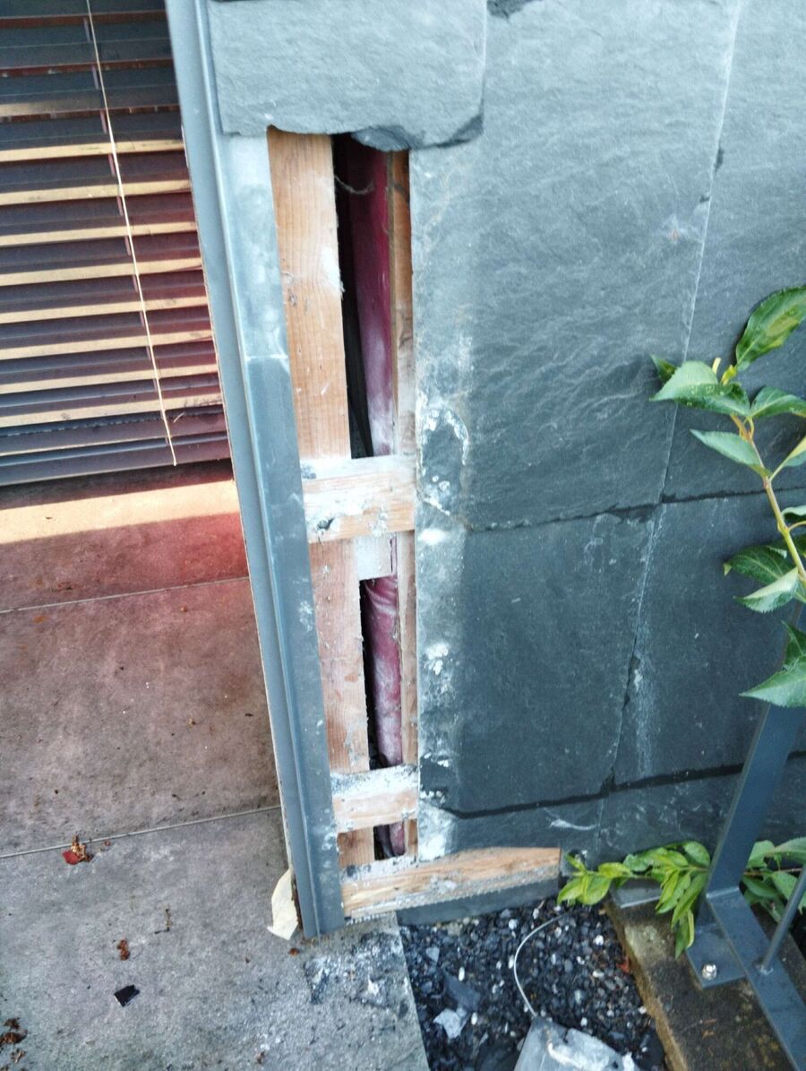 Bienen umsiedeln &  Bienennest entfernen 