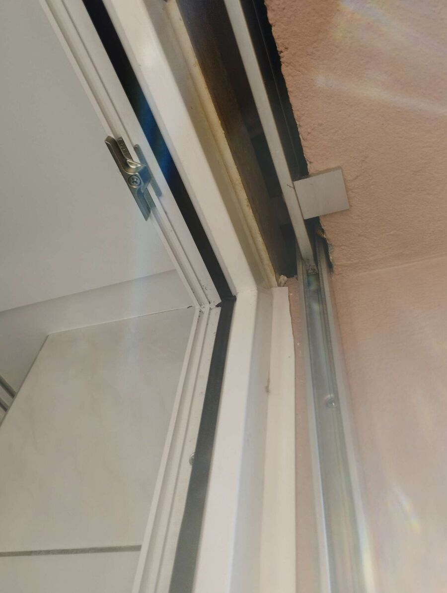  Bienennest entfernen.jpeg