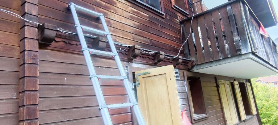  Bienennest entfernen