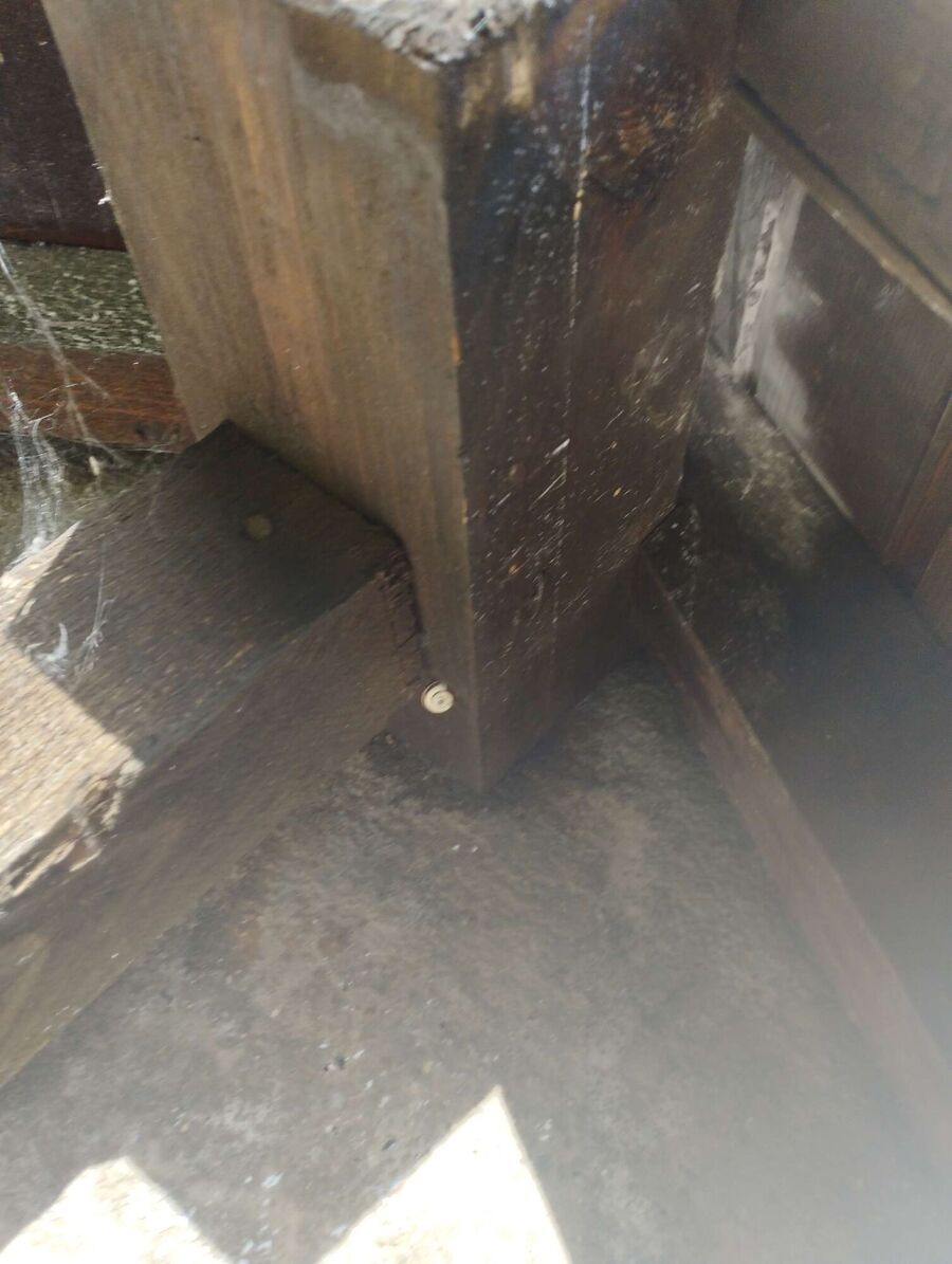  Bienennest entfernen.jpeg