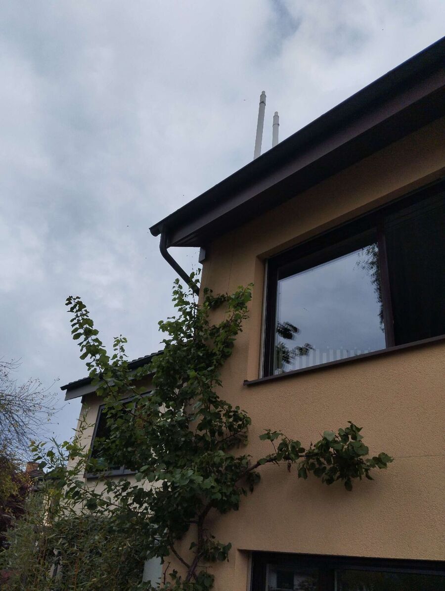  Bienennest entfernen.jpeg