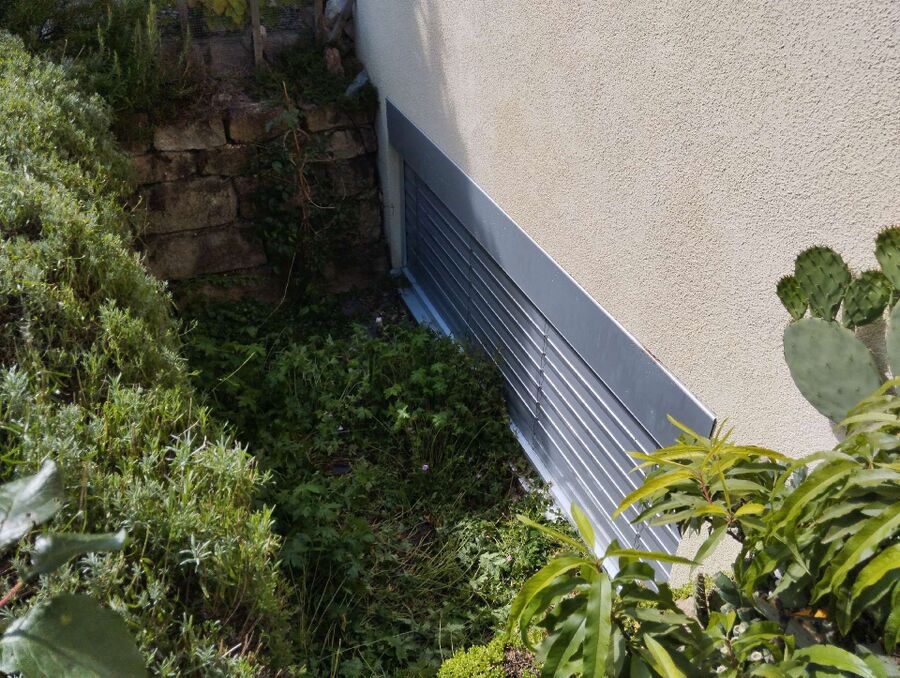  Bienennest entfernen.jpeg