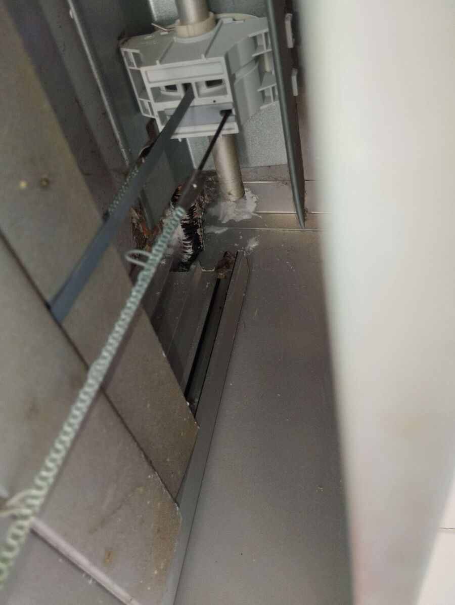 Bienen umsiedeln &  Bienennest entfernen 