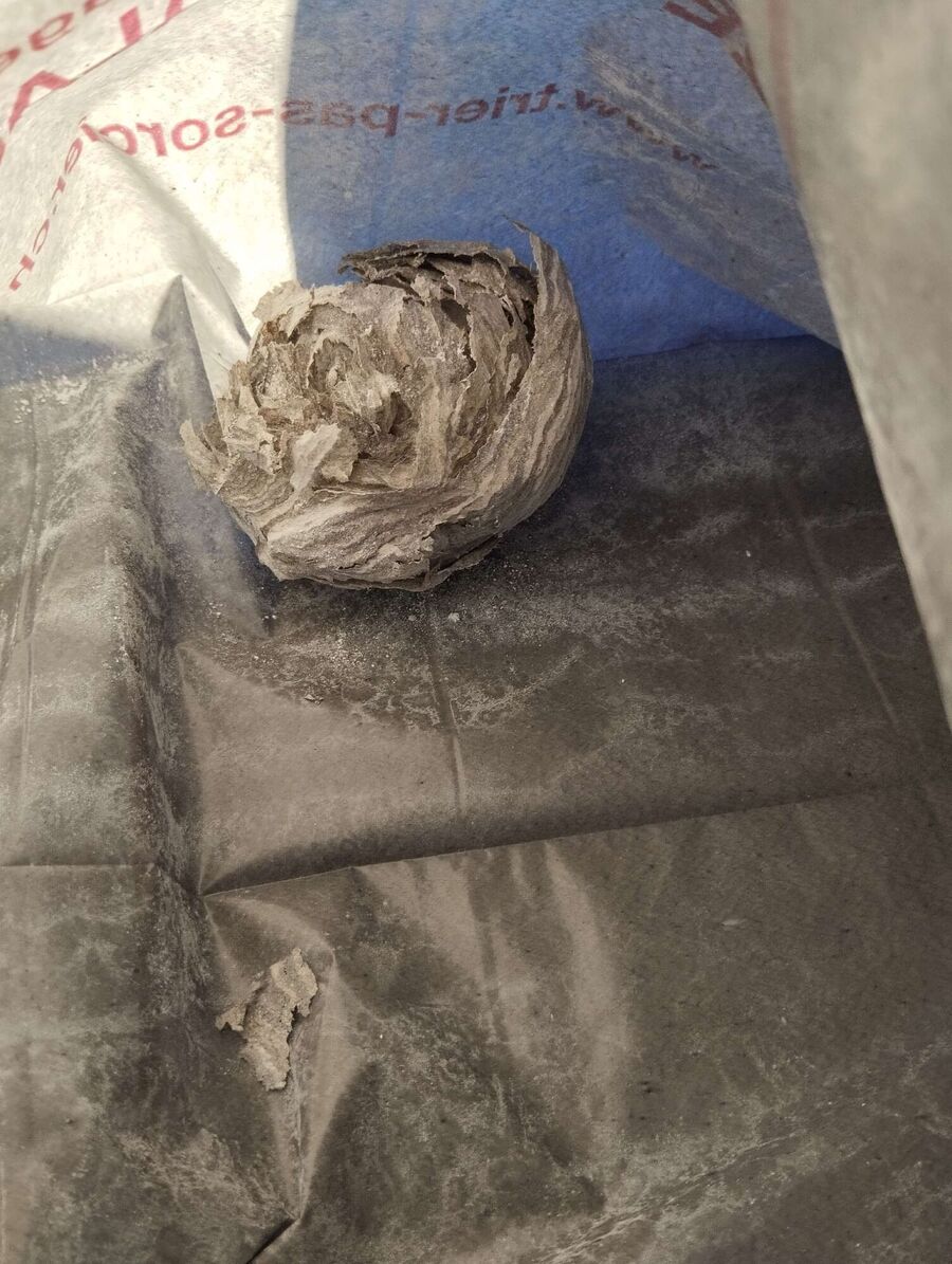  Bienennest entfernen.jpeg