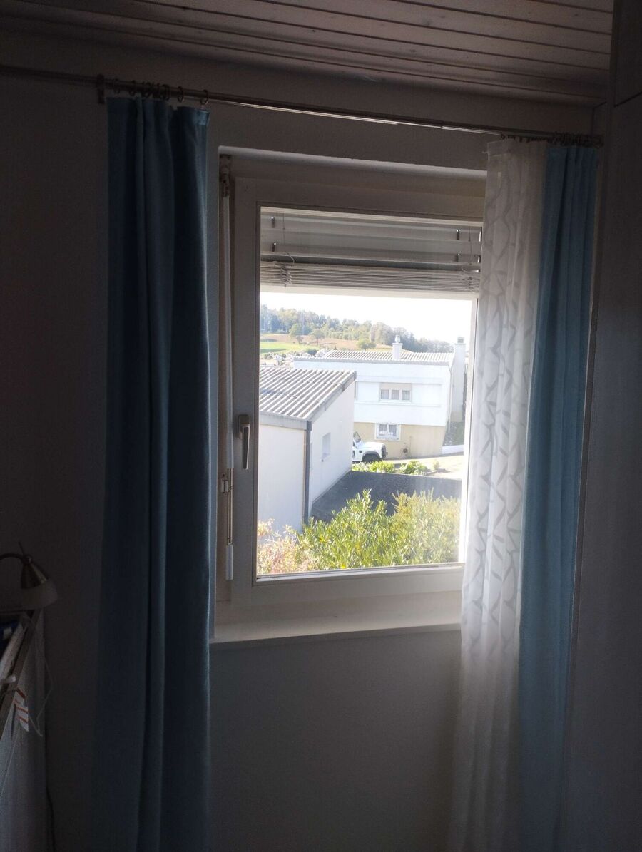  Bienennest entfernen.jpeg