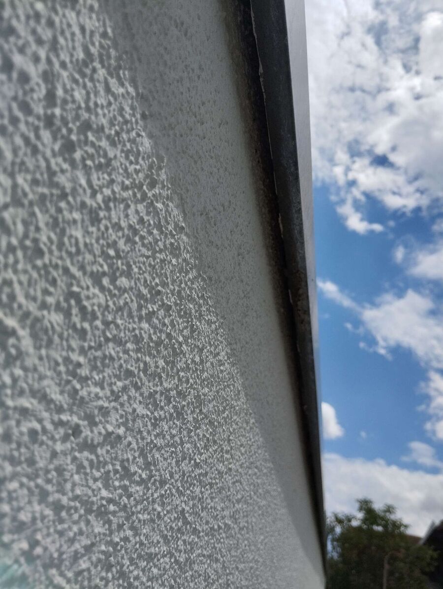  Bienennest entfernen