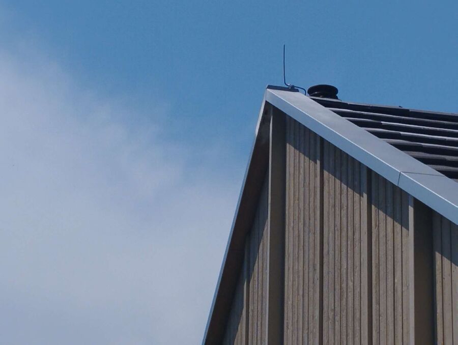  Bienennest entfernen.jpeg