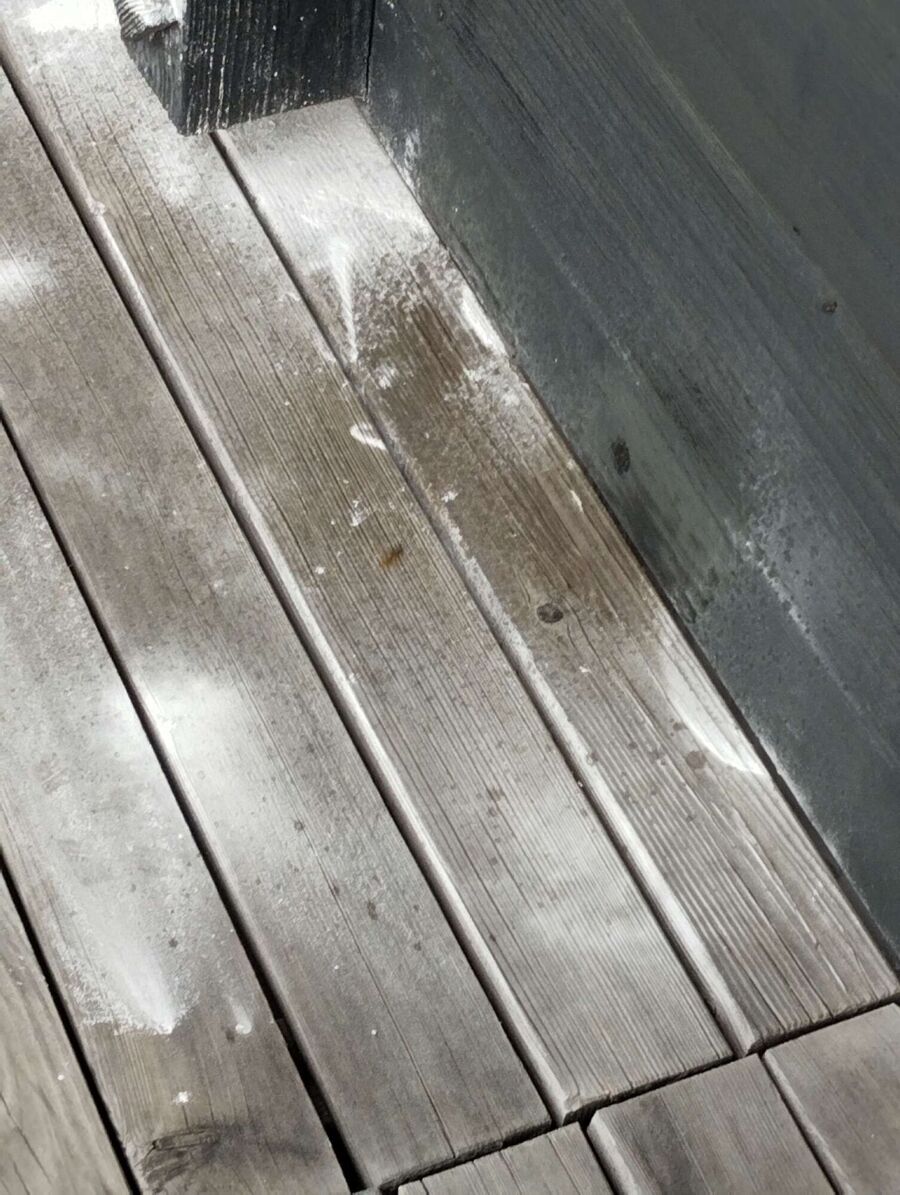  Bienennest entfernen.jpeg