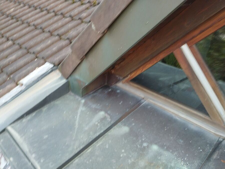 Bienen umsiedeln &  Bienennest entfernen 