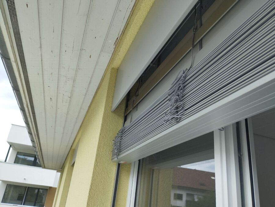 Bienen umsiedeln &  Bienennest entfernen 