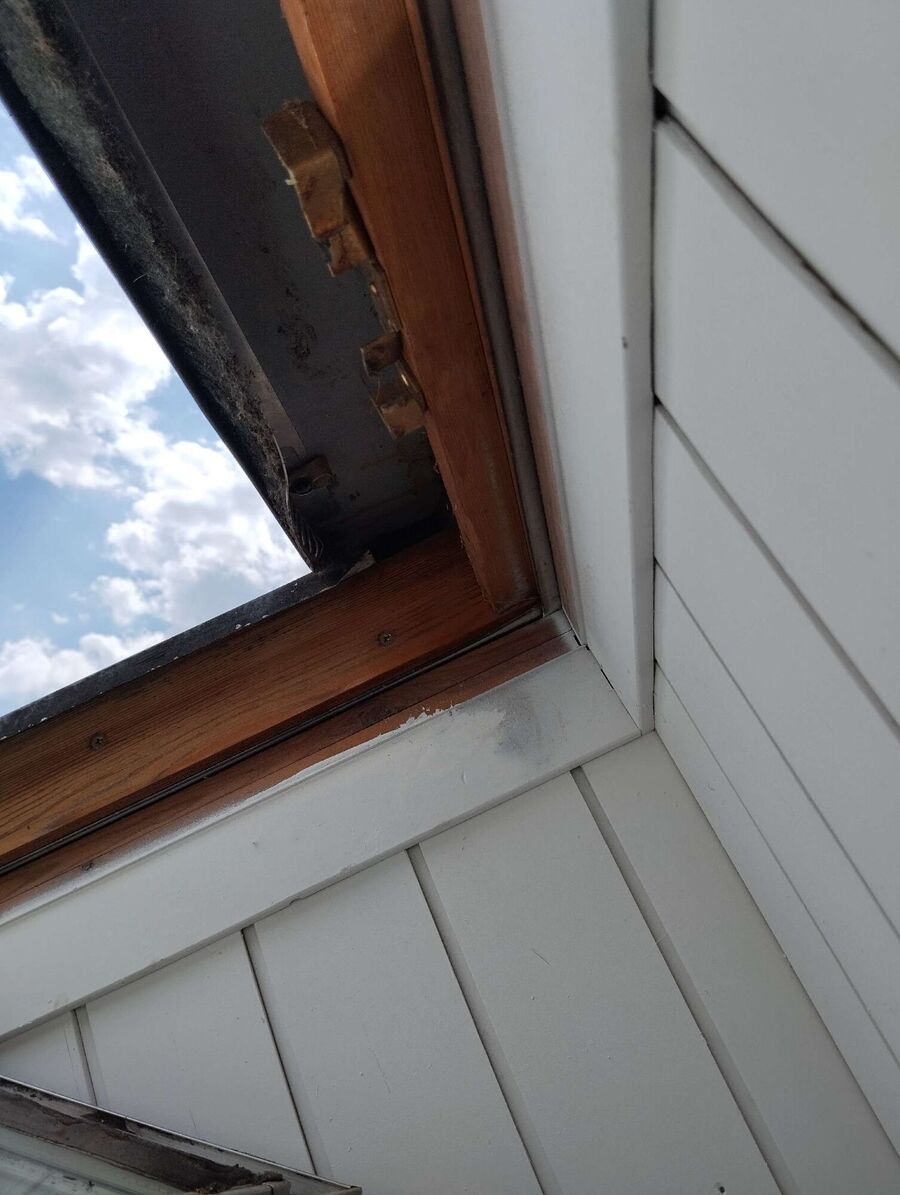 Bienen umsiedeln &  Bienennest entfernen 