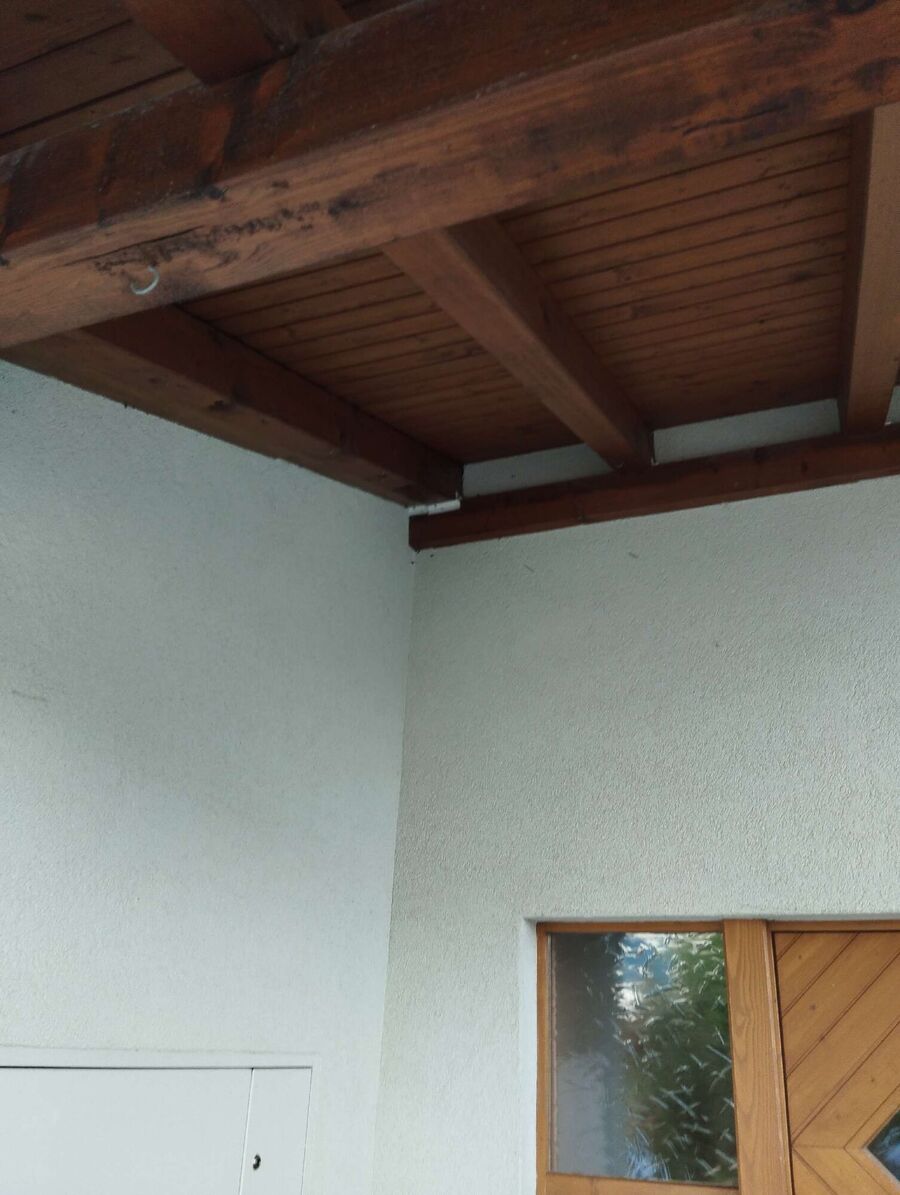  Bienennest entfernen.jpeg