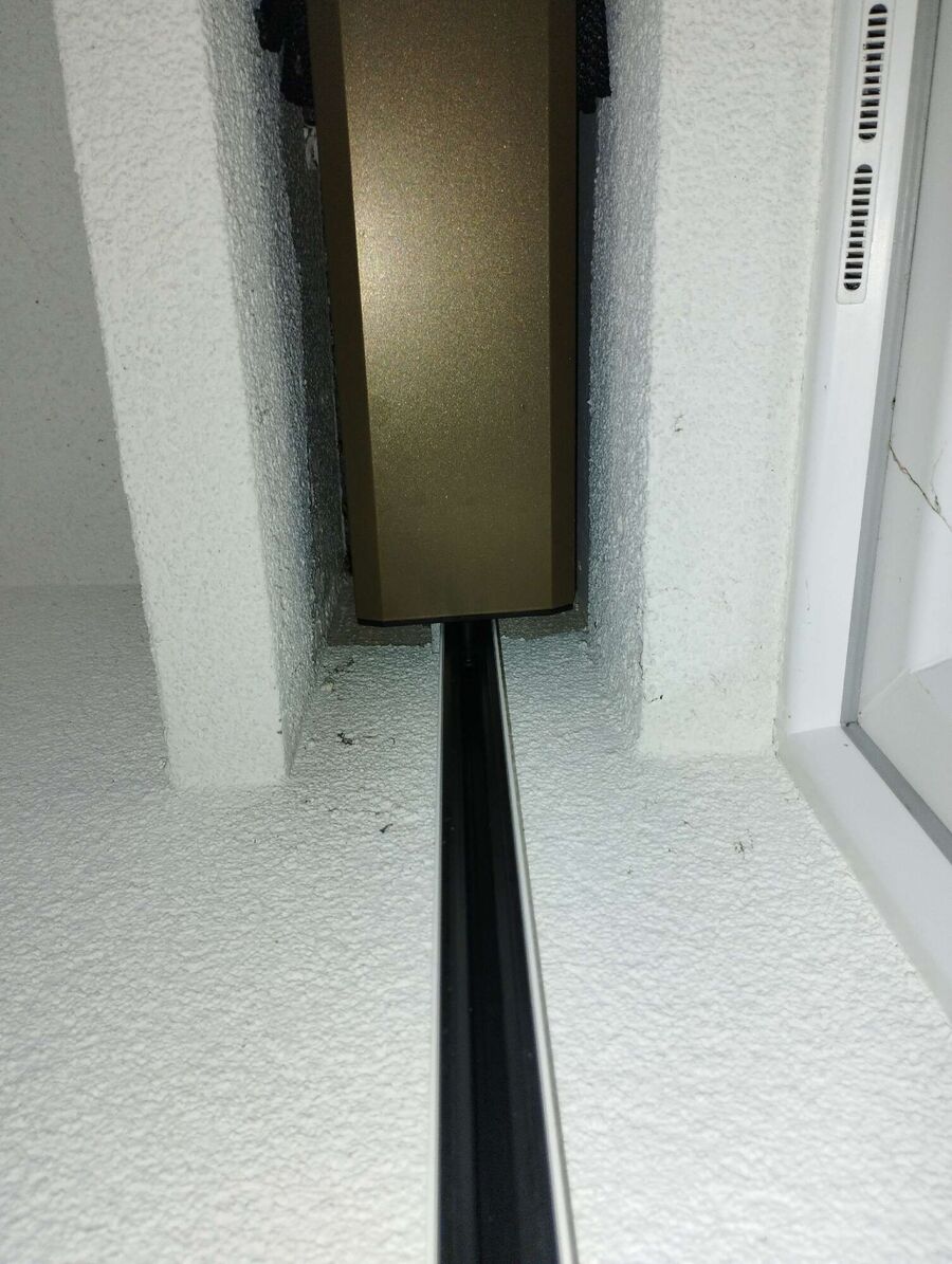 Bienen umsiedeln &  Bienennest entfernen 