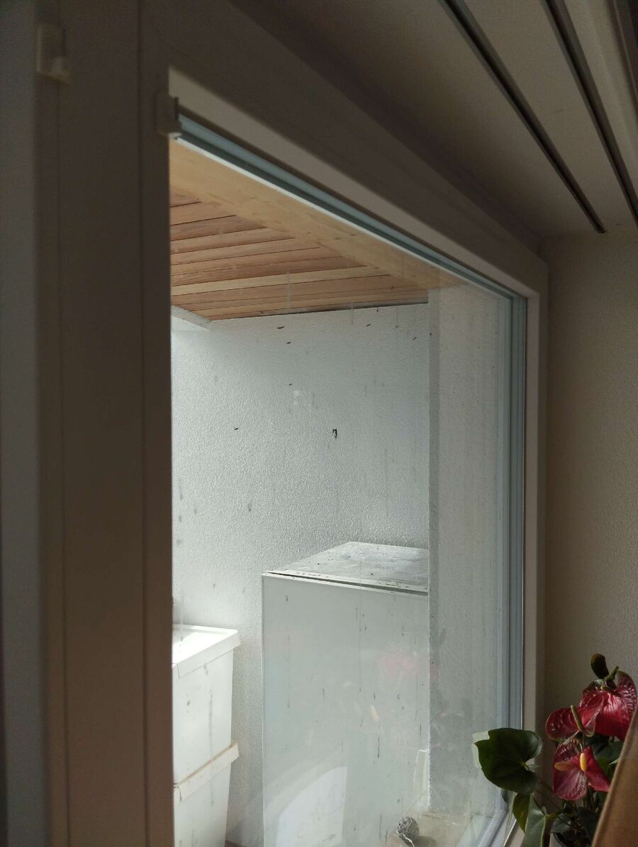  Bienennest entfernen