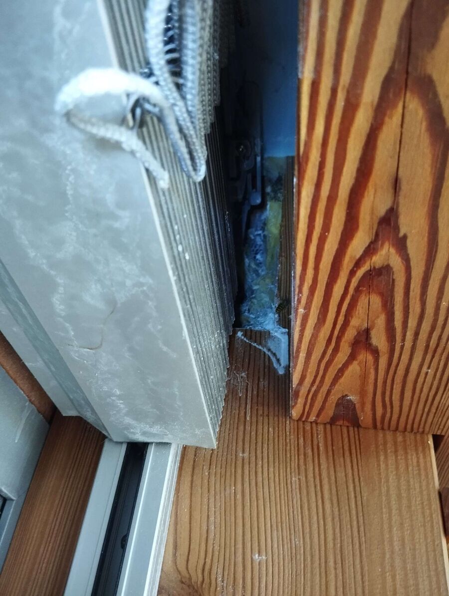  Bienennest entfernen