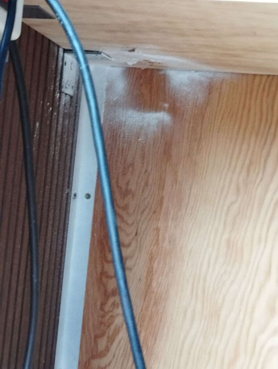 Bienen umsiedeln &  Bienennest entfernen 