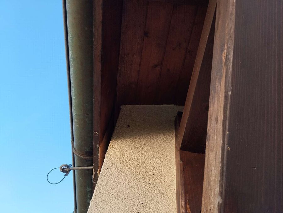  Bienennest entfernen.jpeg