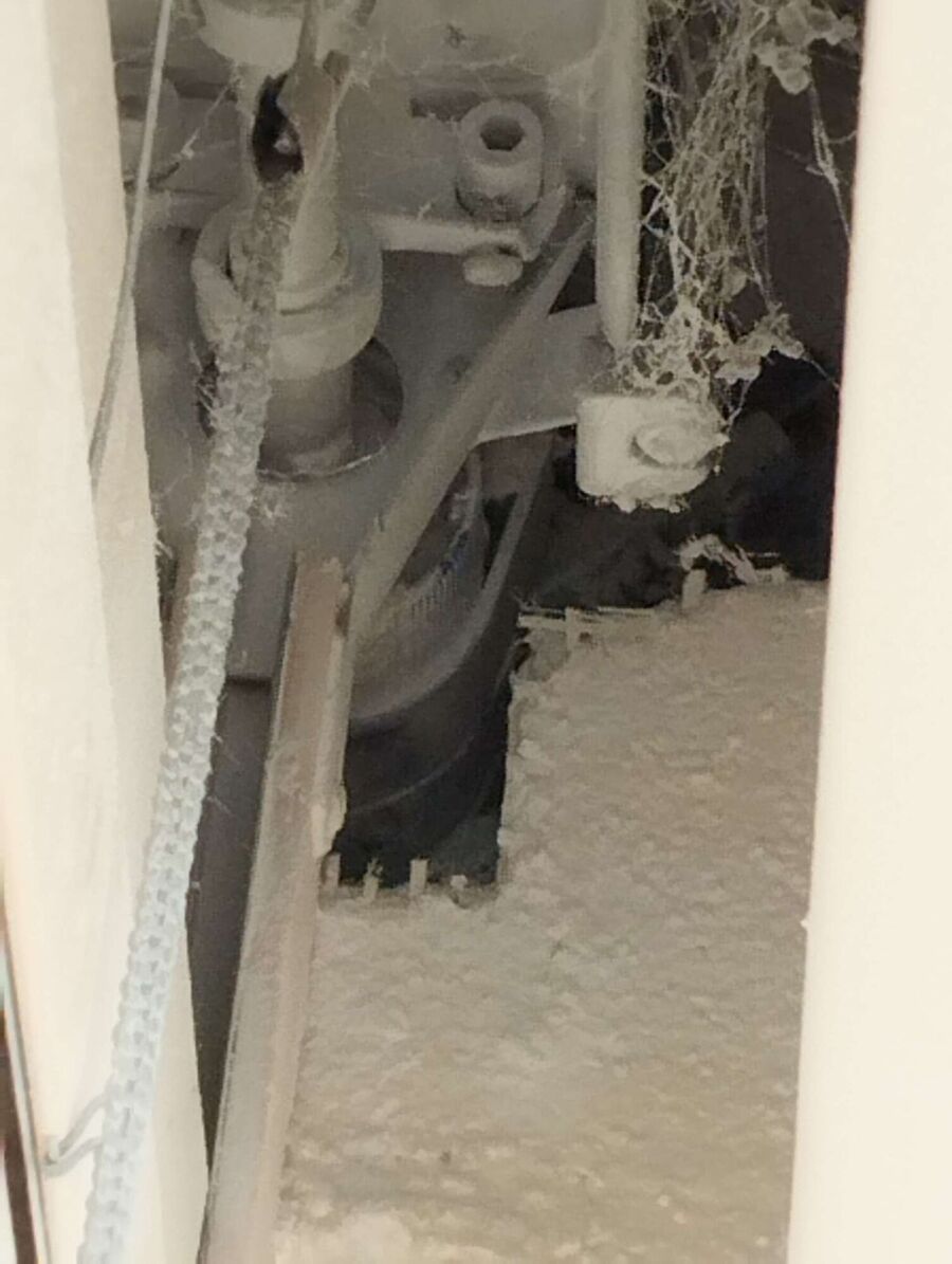  Bienennest entfernen