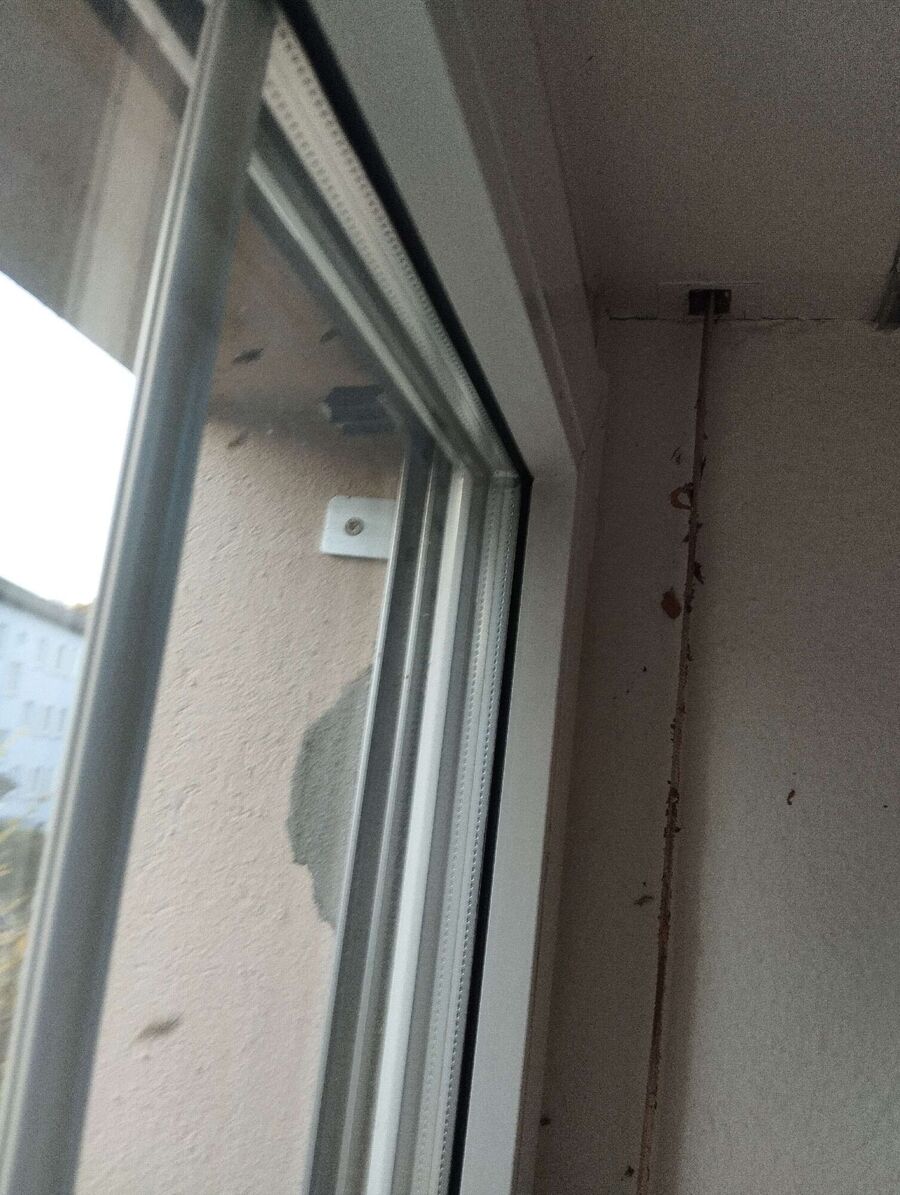  Bienennest entfernen.jpeg