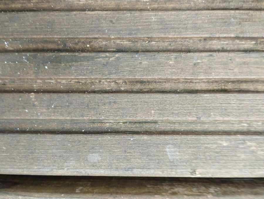  Bienennest entfernen.jpeg