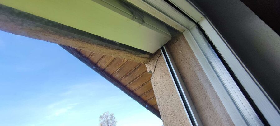  Bienennest entfernen