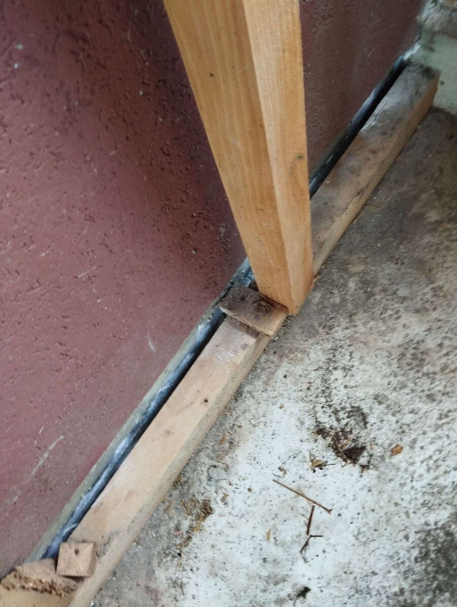 Bienen umsiedeln &  Bienennest entfernen 