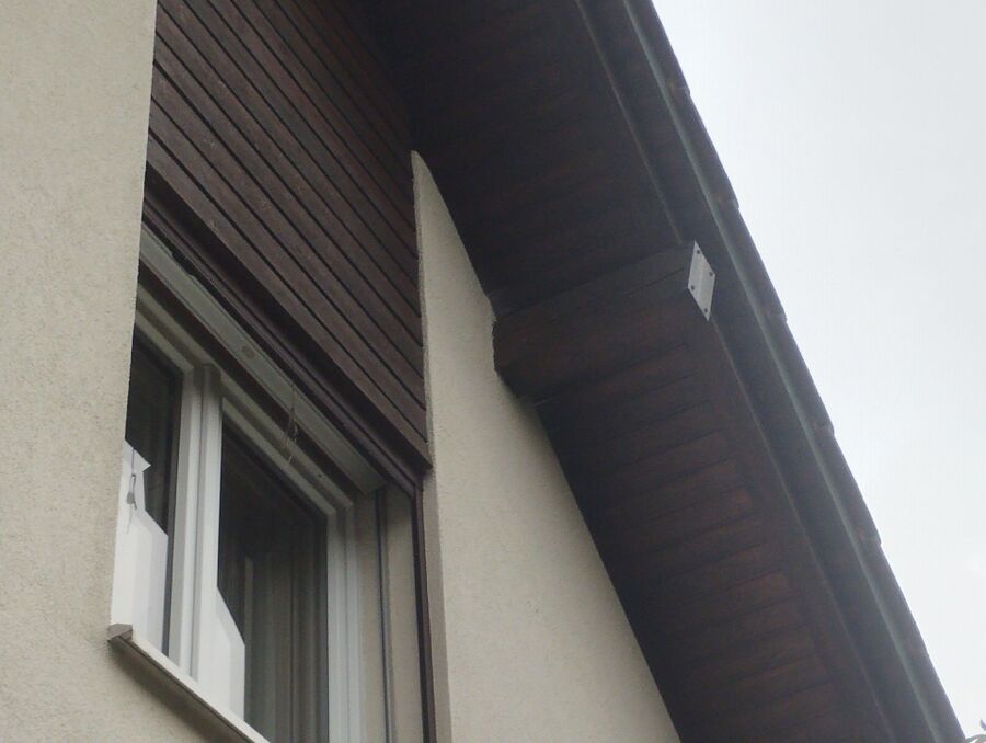  Bienennest entfernen