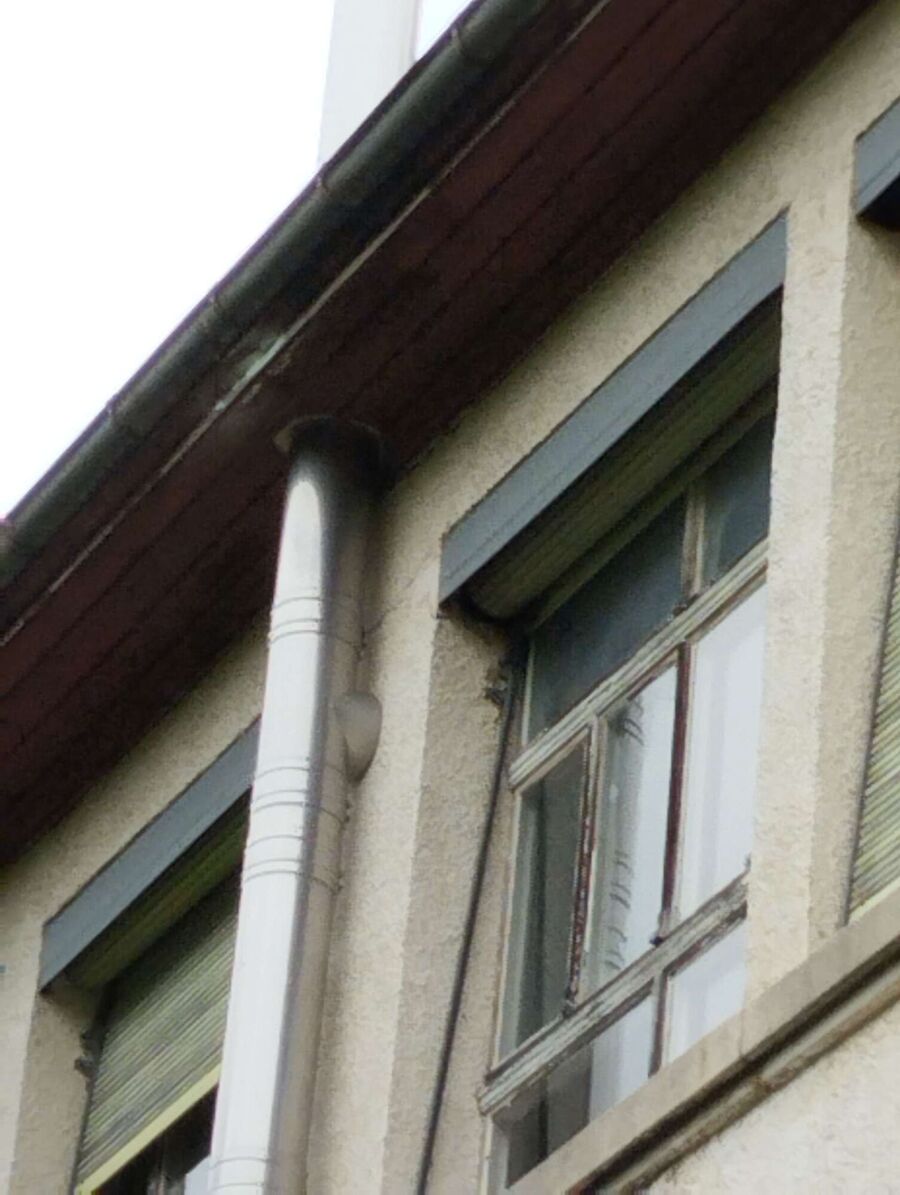  Bienennest entfernen