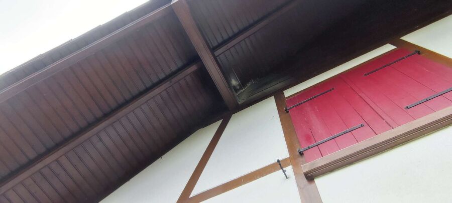 Bienen umsiedeln &  Bienennest entfernen 