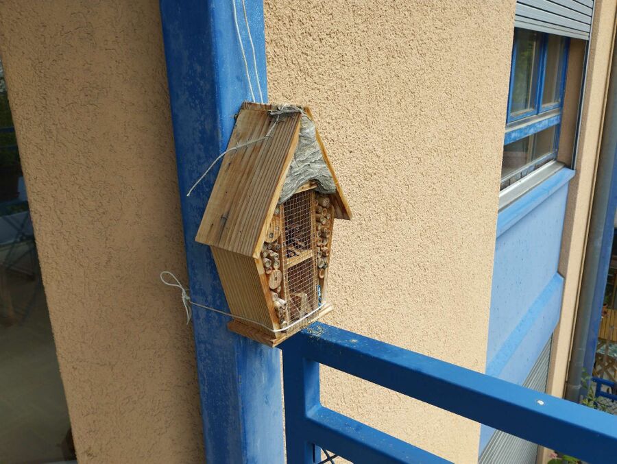  Bienennest entfernen