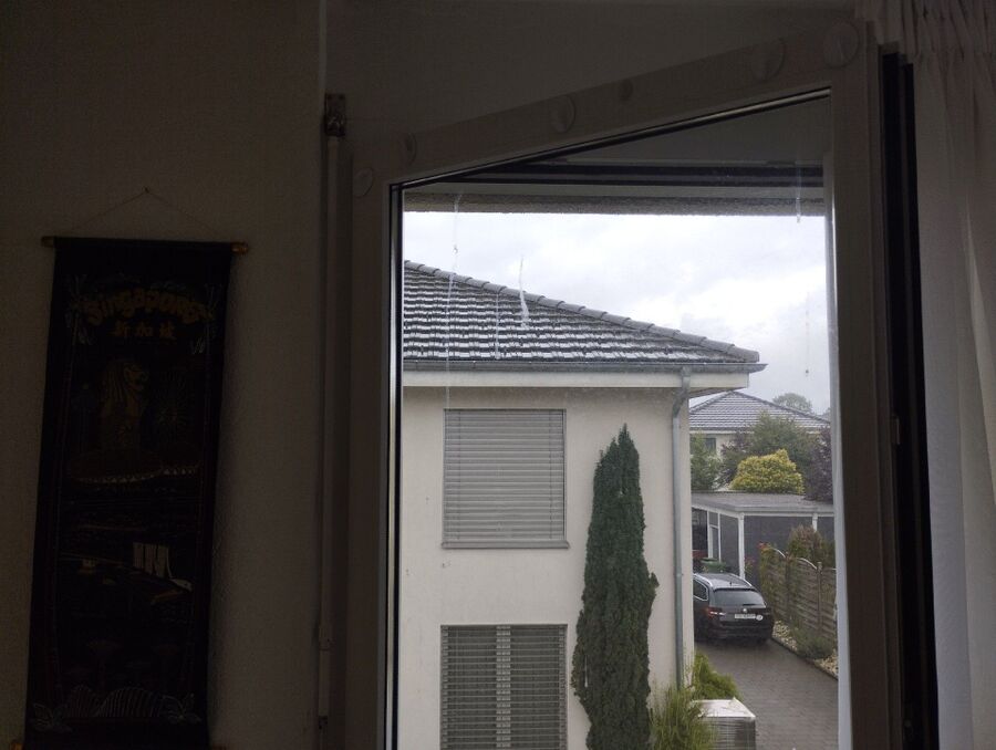  Bienennest entfernen