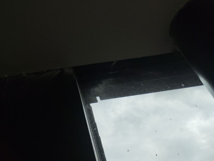  Bienennest entfernen