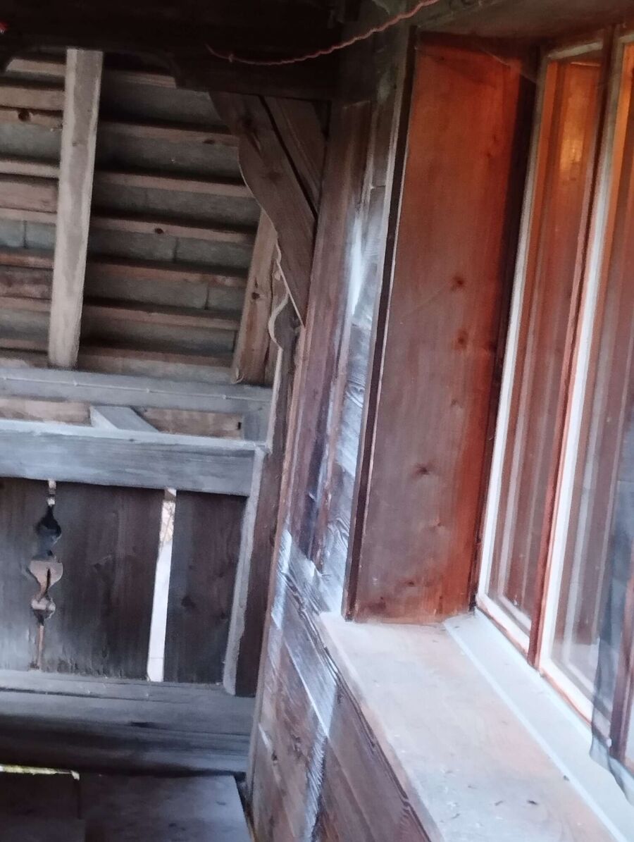  Bienennest entfernen