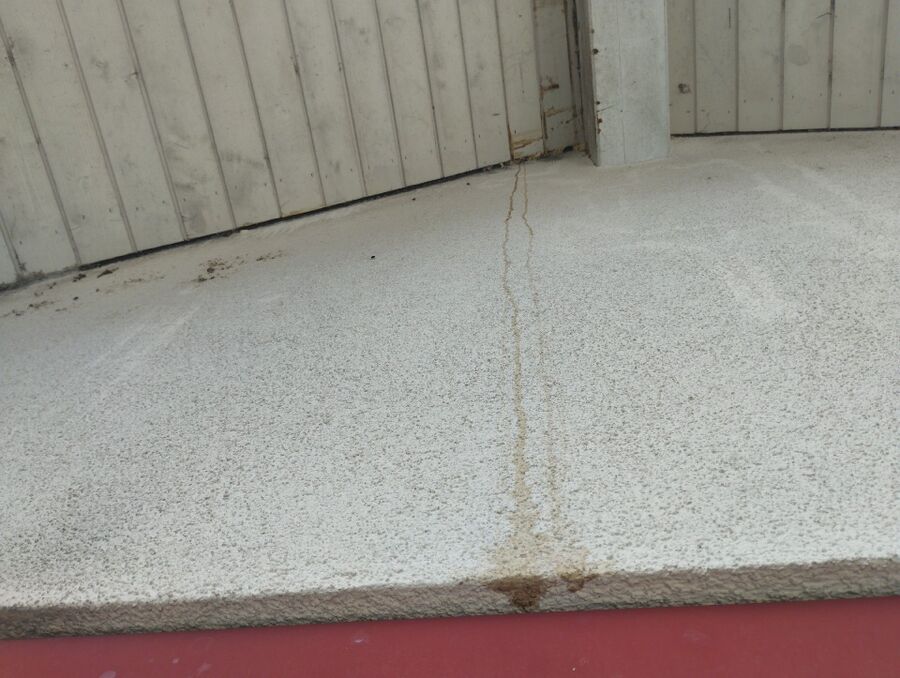 Bienen umsiedeln &  Bienennest entfernen 