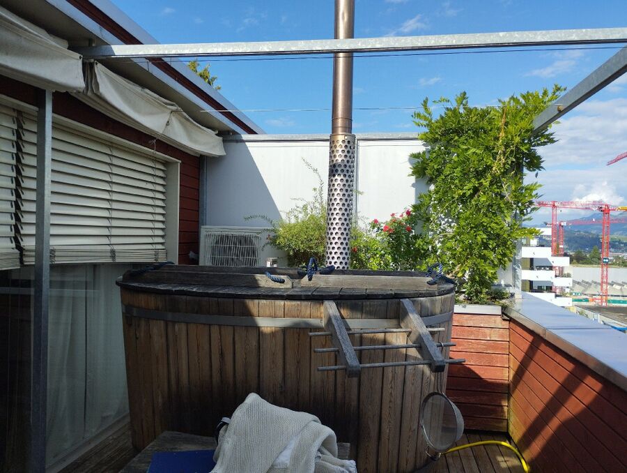 Bienen umsiedeln &  Bienennest entfernen 