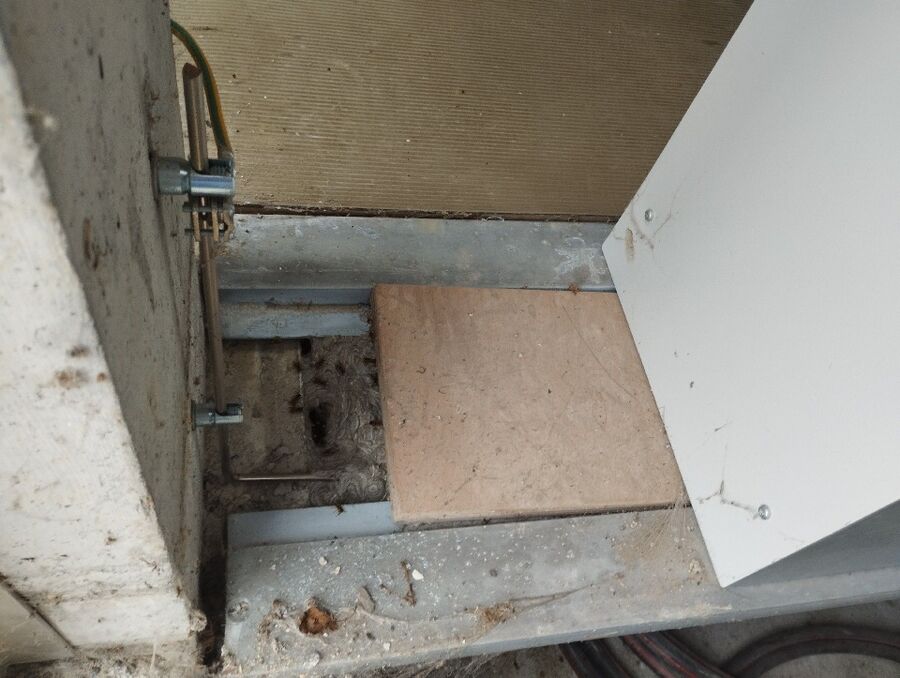  Bienennest entfernen.jpeg