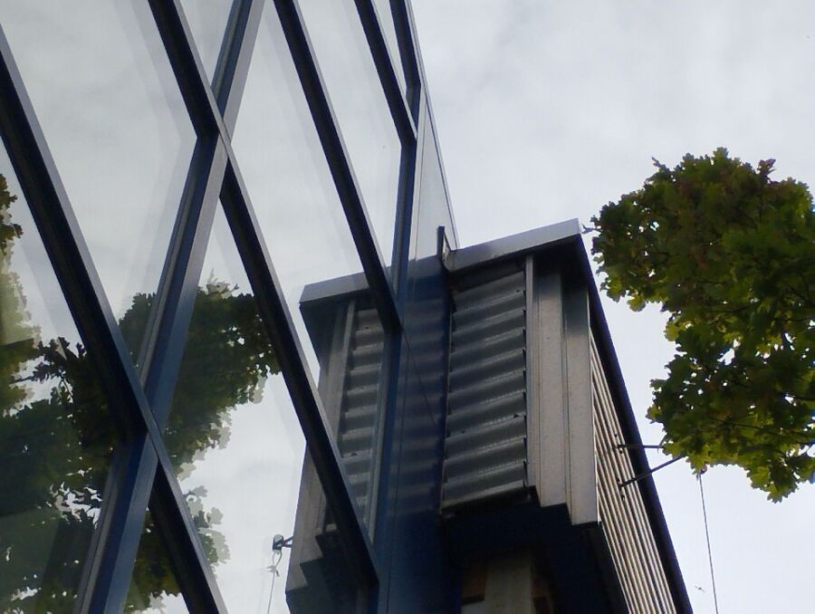  Bienennest entfernen.jpeg