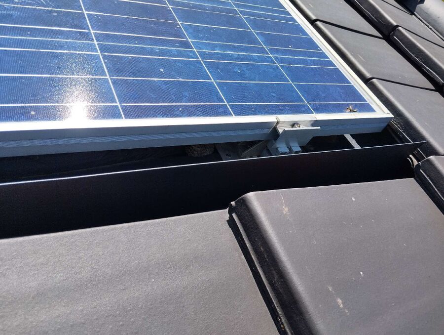  Bienennest entfernen