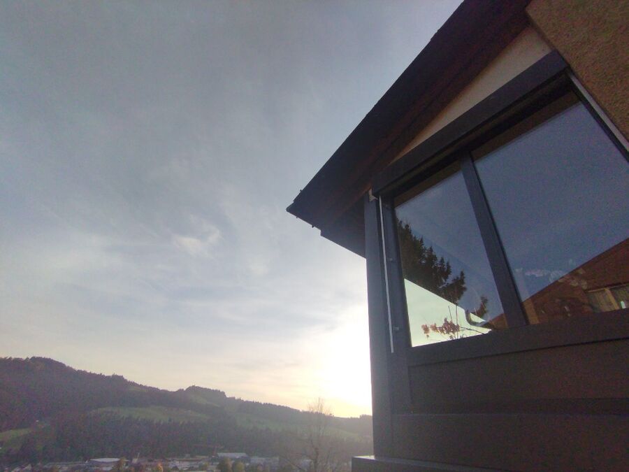  Bienennest entfernen