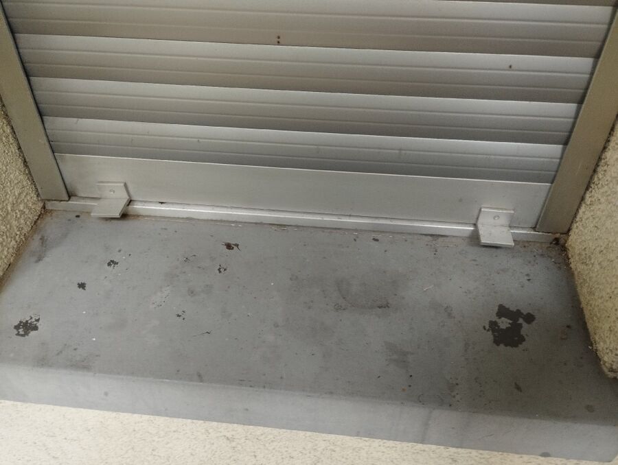 Bienen umsiedeln &  Bienennest entfernen 