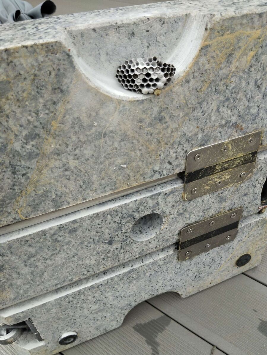  Bienennest entfernen