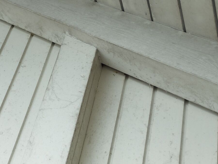 Bienen umsiedeln &  Bienennest entfernen 