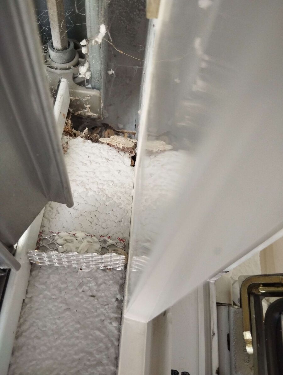  Bienennest entfernen.jpeg