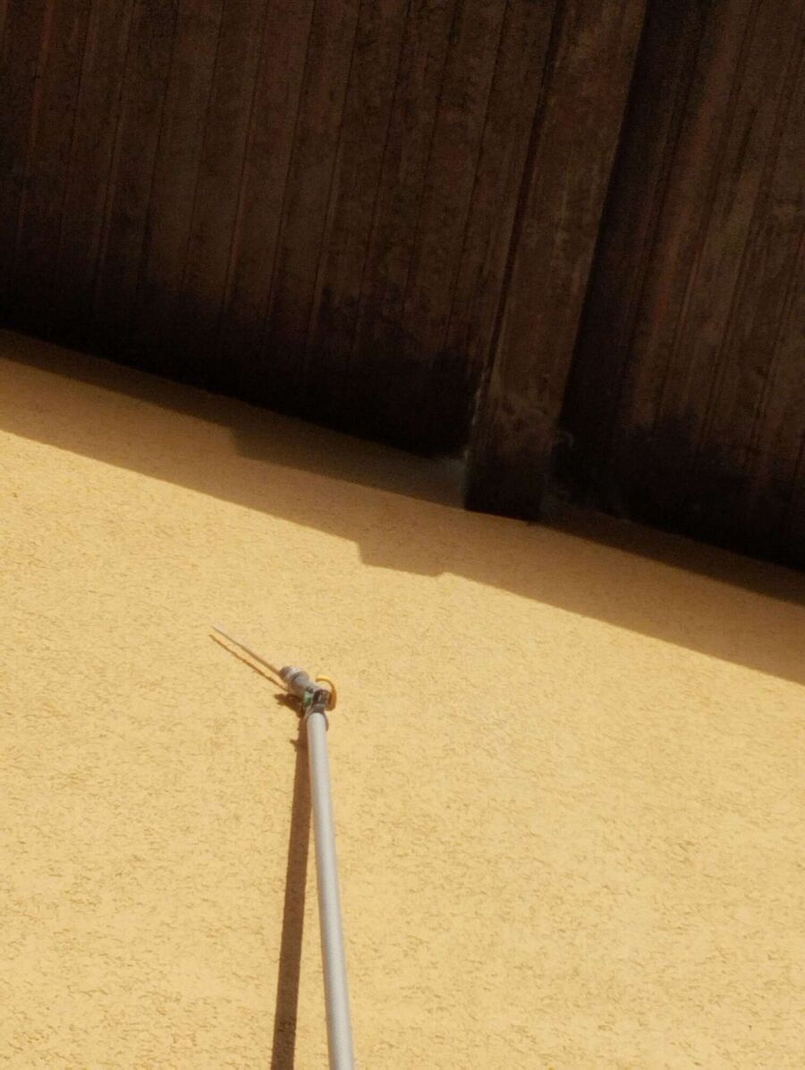  Bienennest entfernen