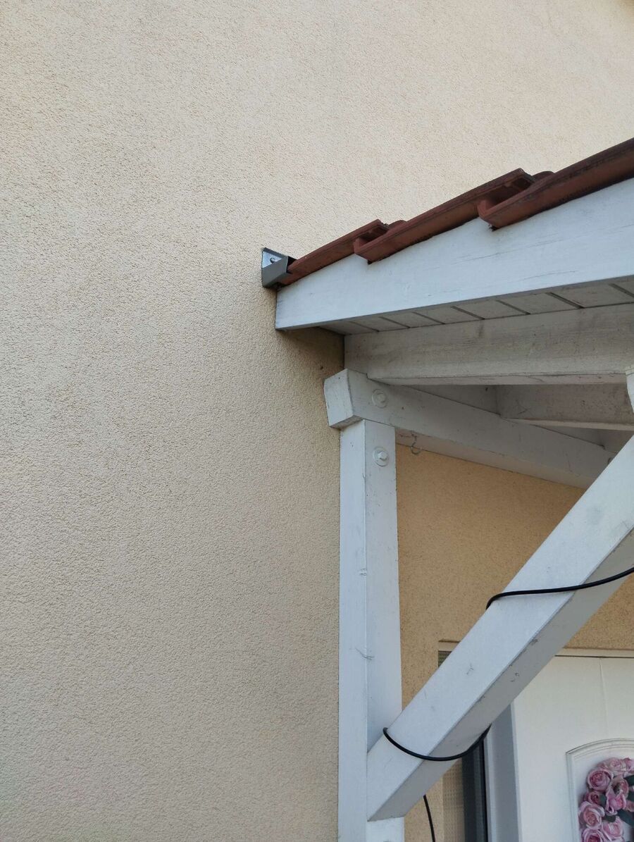 Bienen umsiedeln &  Bienennest entfernen 