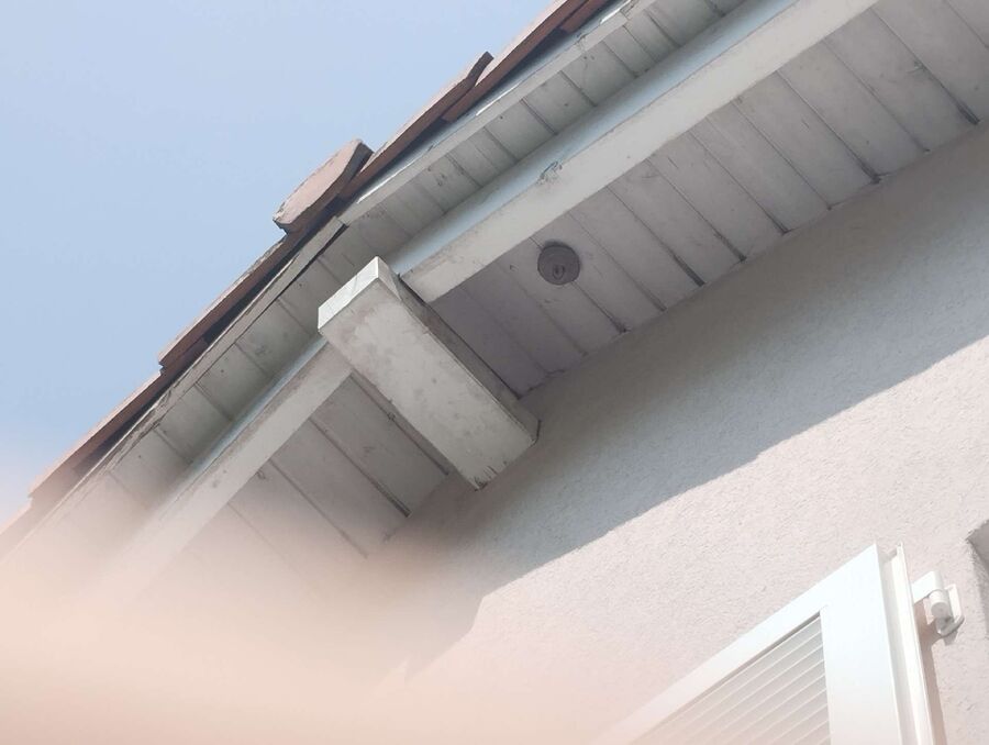  Bienennest entfernen.jpeg